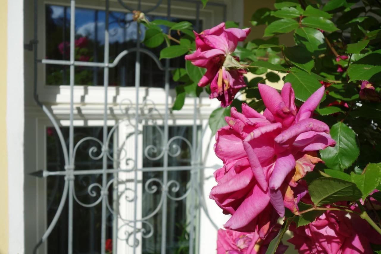 Villa Sonnenstrahl Mariánské Lázně Dış mekan fotoğraf