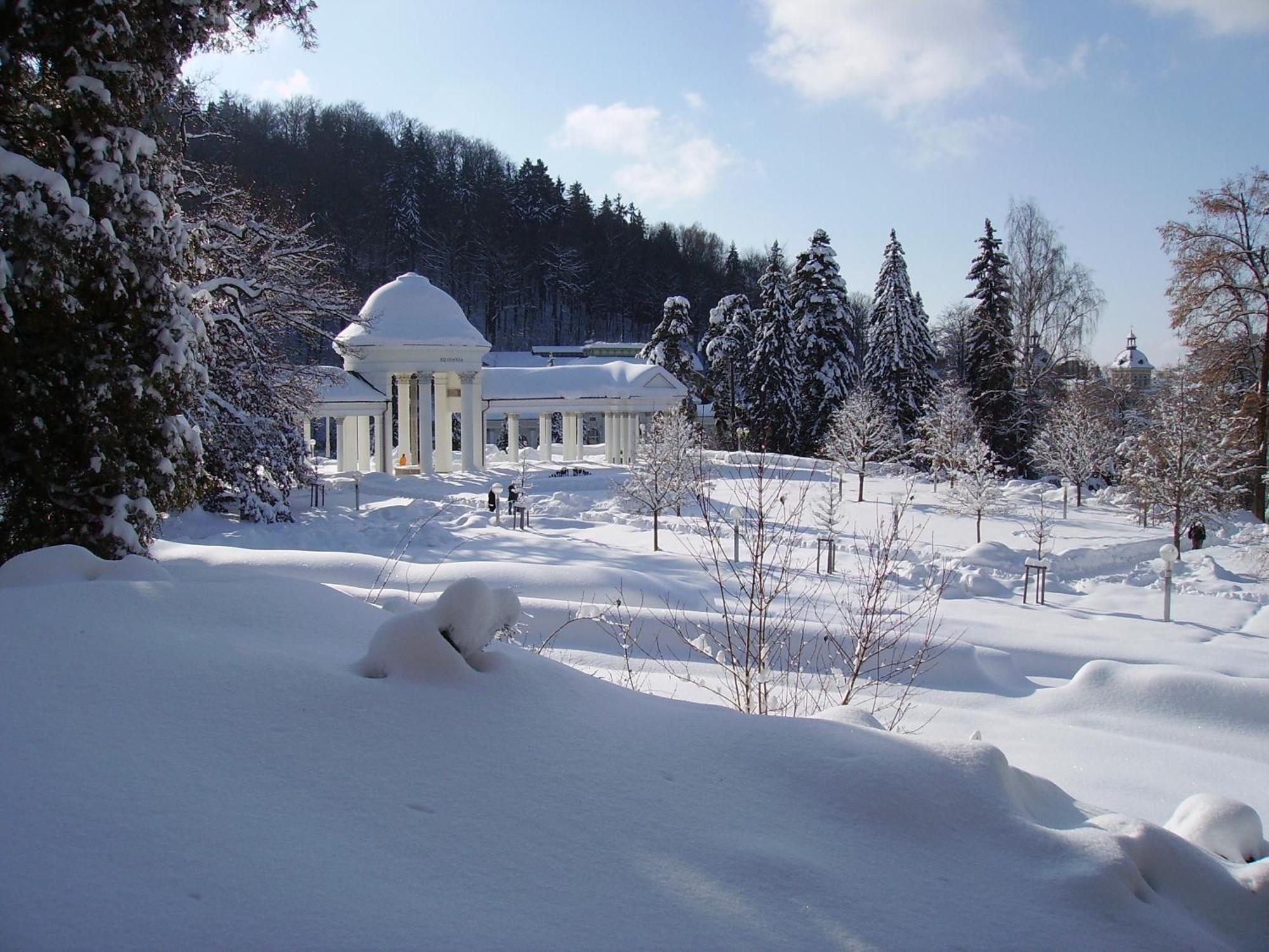 Villa Sonnenstrahl Mariánské Lázně Dış mekan fotoğraf