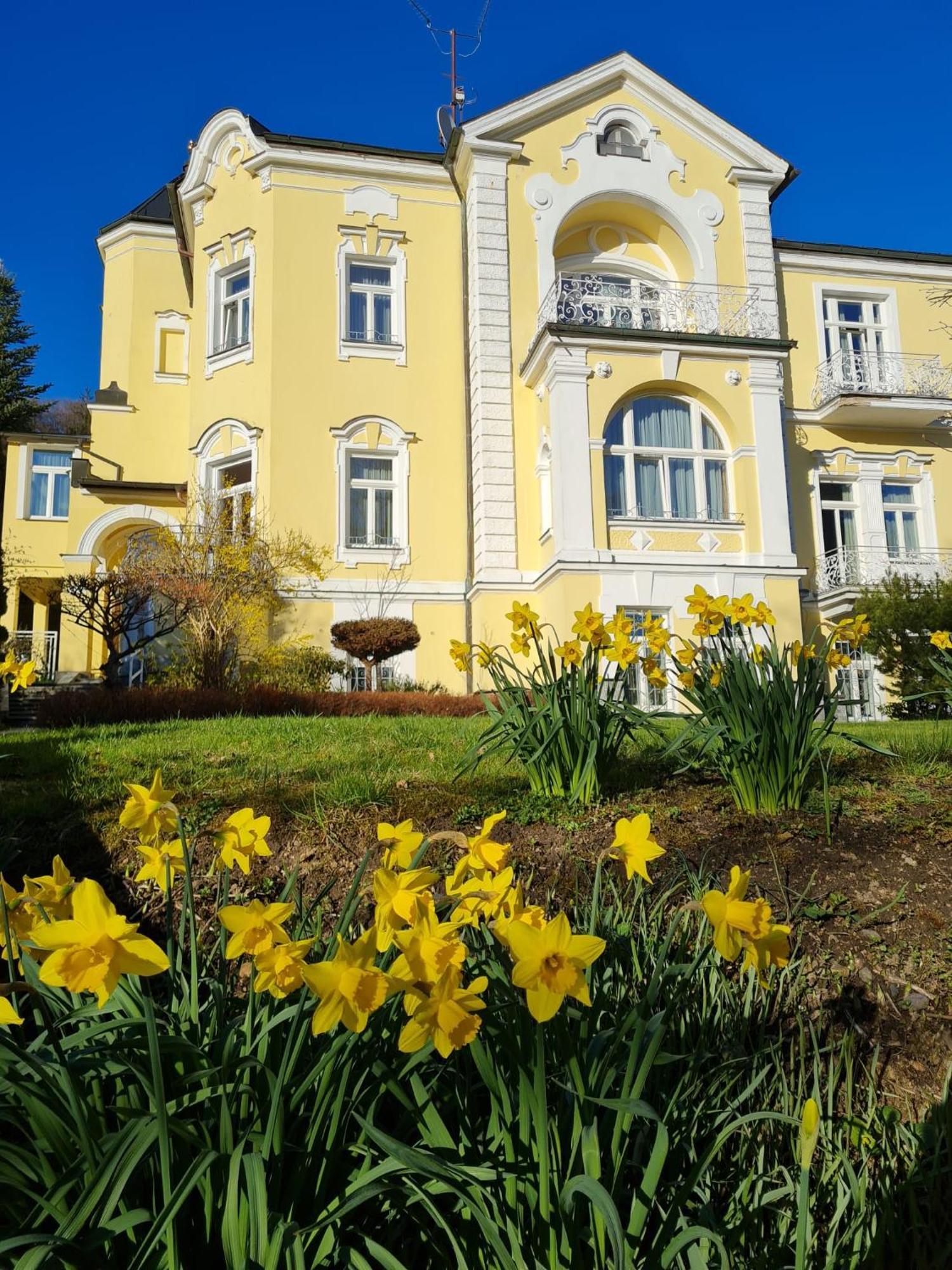 Villa Sonnenstrahl Mariánské Lázně Dış mekan fotoğraf
